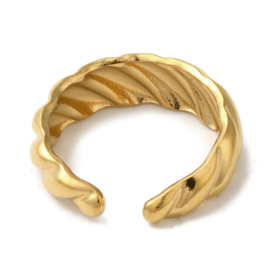 Twisted Ring - Stainless Steel Goud
