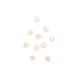 Schelp Bloem Kralen (10 pcs)