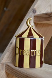 Treasure Box Dreams