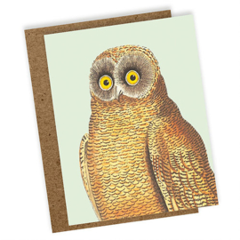 Wenskaart 'Mellow Owl'
