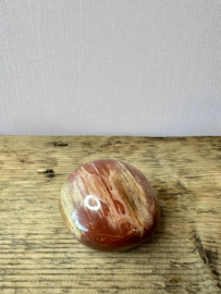 Versteend Hout