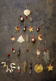 Iron Mistletoe / Madam Stoltz