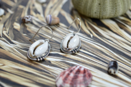 Dotted Cowrie Shell Earrings /Sterling Silver