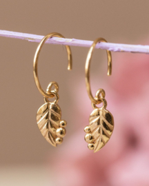 Nigella Leaf Gold Vermeil Earrings / Muja Juma
