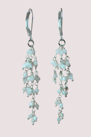 Cascade Maansteen Oorbellen - Silver Plated