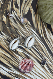 Dotted Cowrie Shell Earrings /Sterling Silver