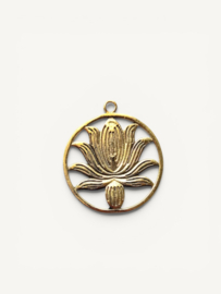 Lotus Bedel - Brass