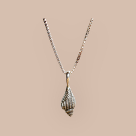 Banded Shell Pendant / Sterling Silver