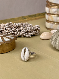 Cowrie Shell Ring Sterling Silver