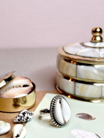 Cowrie Shell Ring Sterling Silver