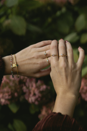 Oval Labradorite Ring Gold Vermeil / Muja Juma