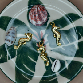 Zeepaardje Bedel Gold Plated