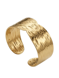 Golden Texture Bangle - Stainless Steel Goud
