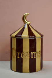 Treasure Box Dreams