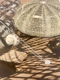 Sterling Silver Sea Shell Necklace