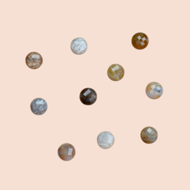 Fossiel Koraal Facet Coin Kralen (10 pcs)