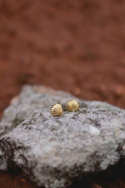 Shell Gold Vermeil Studs / Oorstekers