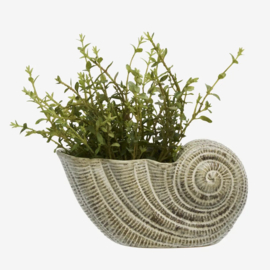 Stoneware Conch / Madam Stoltz