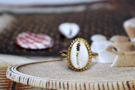 Dotted Cowrie Shell Ring Gold Vermeil 19