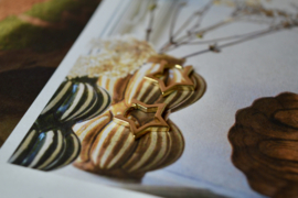 Ster Oorbellen - Gold Vermeil