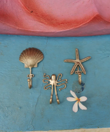 Scarlett Schelp Haak / Doing Goods