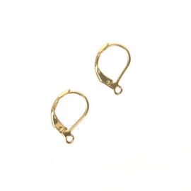 Oorbel Hanger met Oog RVS Goud (6x)