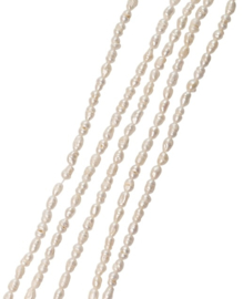 Zoetwater Parel 3 x 4 mm Kralen
