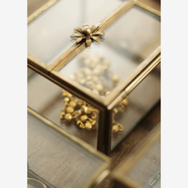 Glass Boxes / Madam Stoltz