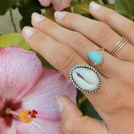 Cowrie Shell Ring Sterling Silver