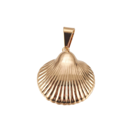 Shell Pendant Stainless Steel
