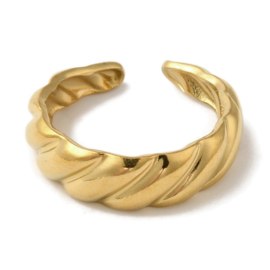 Twisted Ring - Stainless Steel Goud
