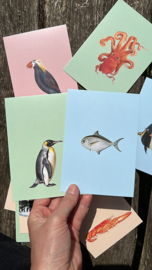 Ansichtkaart 'Hello Darlin'