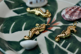 Zeepaardje Bedel Gold Plated