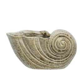 Stoneware Conch / Madam Stoltz