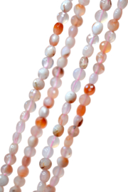 Agaat 5 x 3 mm Facet Coin Kralen