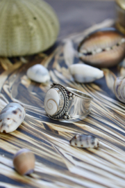 Tribal Shiva Shell Ring Sterling Silver