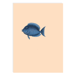 Ansichtkaart 'Almost There'