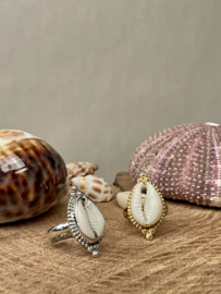 Cowrie Shell Ring Sterling Silver