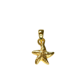 Gold Vermeil Starfish Pendant