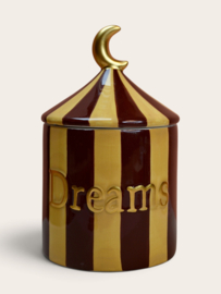 Treasure Box Dreams