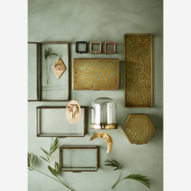 Quadratic Glass Box / Madam Stoltz