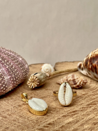 Cowrie Shell Ring Gold Vermeil