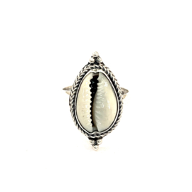 Cowrie Shell Ring Sterling Silver