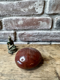Versteend Hout