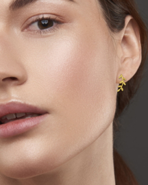 Vine Oorknopjes - Gold Vermeil