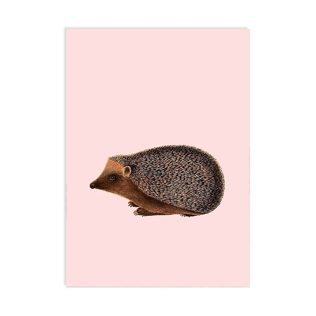 Ansichtkaart 'Kiss'