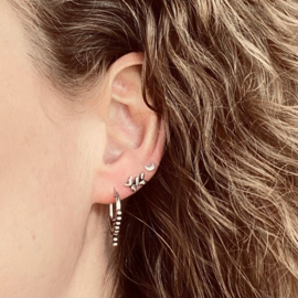 Branch Oorstekers - Gold Vermeil