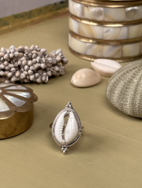 Cowrie Shell Ring Sterling Silver