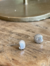 Sea Shell Studs Sterling Silver Oorstekers