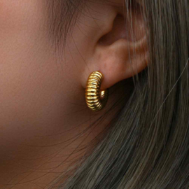 Striped Hollow Hoops Stainless Steel Oorstekers